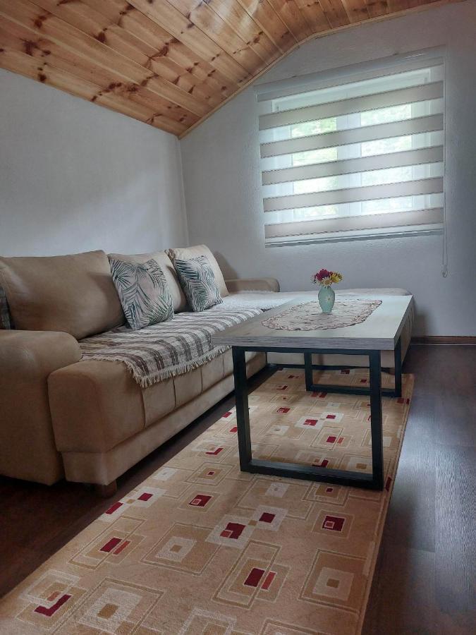 Apartman Branko Kolašin Exterior foto
